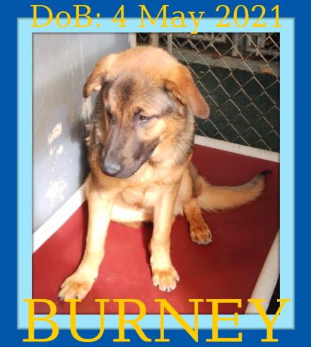 BURNEY