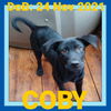 COBY