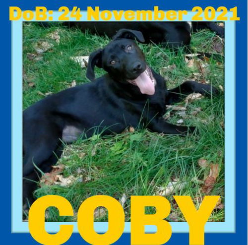 COBY