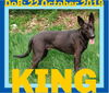 KING