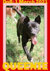 QUEENIE - $350
