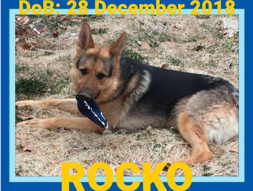 ROCKO