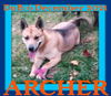 ARCHER