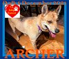 ARCHER - Fostered in Windsor, ME