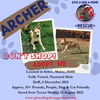 ARCHER - * * $300 * *