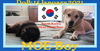 MOE - South Korean Meat Trade Save