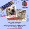 MOE - South Korean Meat Trade Save * * $300 * *