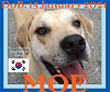 MOE - South Korean Meat Trade Save - $350