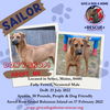 SAILOR