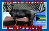 CAPTAIN
