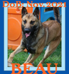BEAU - $350