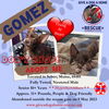 GOMEZ