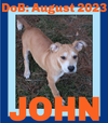JOHN