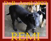 REMI