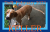KELLER