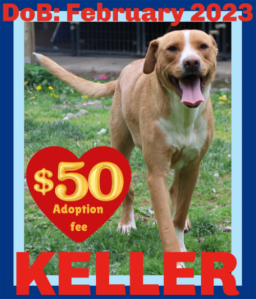 KELLER - $50