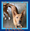 FENNIC