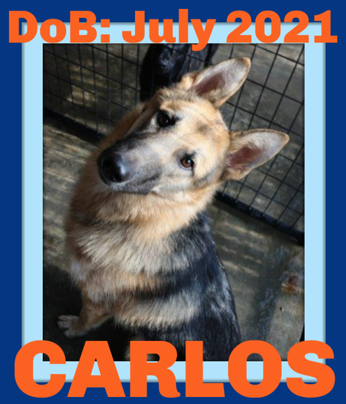 CARLOS