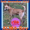 ALMA-Boy - $150