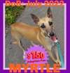 MYRTLE - $150