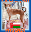 adoptable Dog in , ME named PHOENIX - Oman