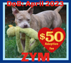 adoptable Dog in  named ZYM -$50