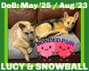 Snowball bonded with LUCY