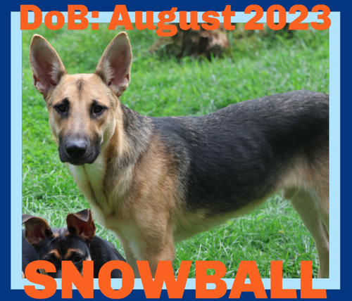 Snowball