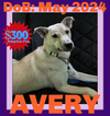 AVERY - $300