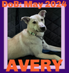 AVERY