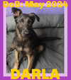 DARLA