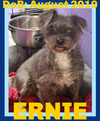 ERNIE