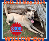 WILLOW-Boy - $300