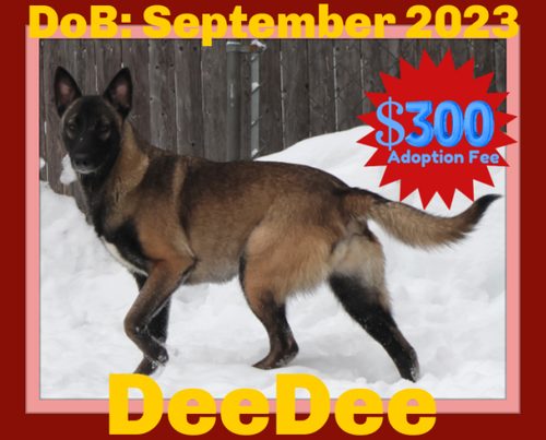 DeeDee - $300