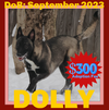 DOLLY - $300