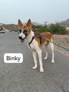 BINKY