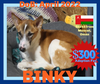 BINKY - $300