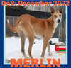 MERLIN