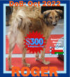 ROGER - $300