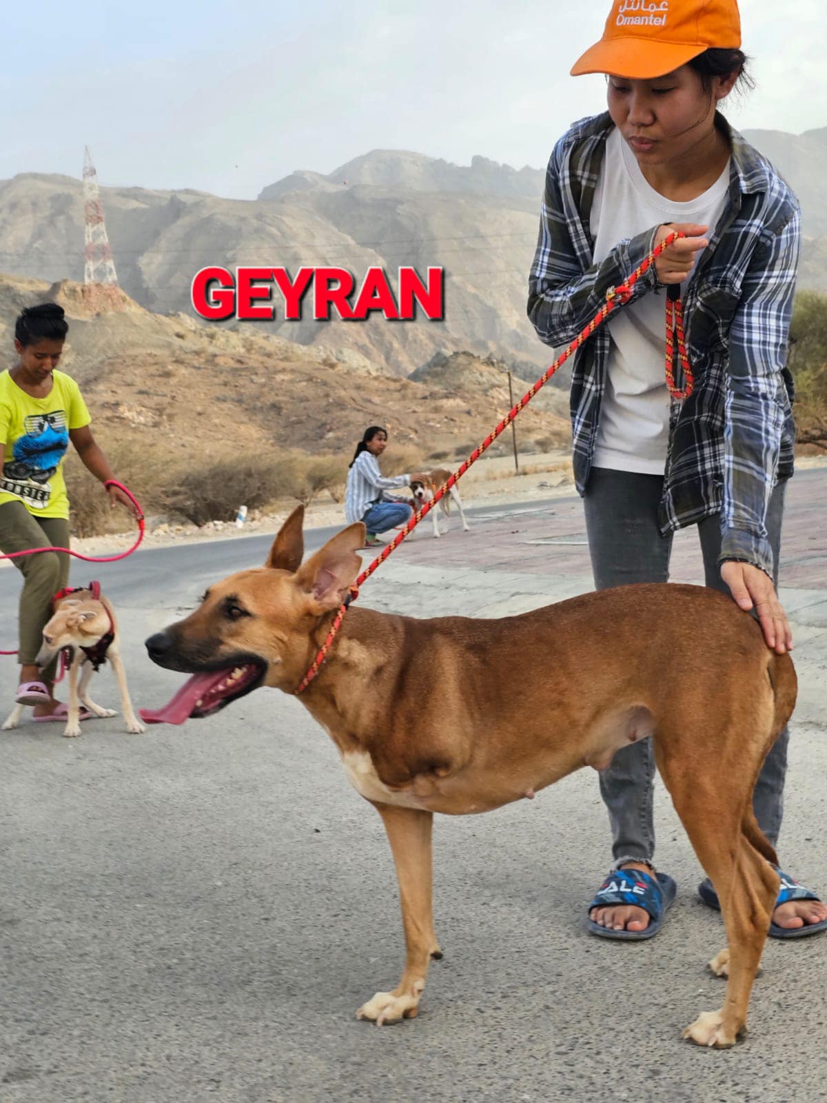 GEYRAN - Front Leg Amputee