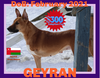 GEYRAN - Front Leg Amputee - $300