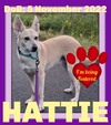 HATTIE - $350