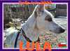 LULA