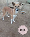 RITA