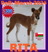 RITA