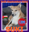 SUKI - $300