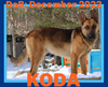 KODA