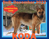 KODA - $300