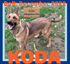 KODA - $250