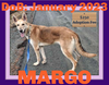 MARGO - $250
